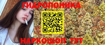 MESCALINE Нальчик