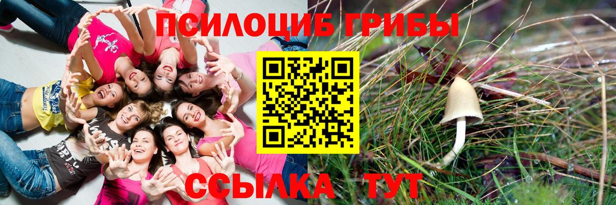 Псилоцибиновые грибы Psilocybine cubensis Троицк